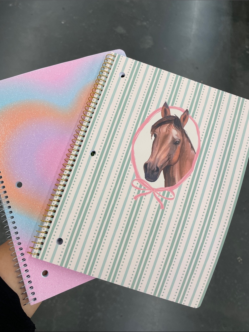Ecokind Spiral Notebook 2 Set  Pastel Heart & Horse Design